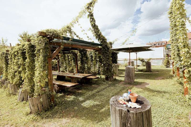 Der Hopfengarten